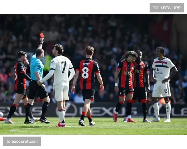 埃瓦尼尔森21次越位伯恩茅斯前锋 跑位时机把握待提升 埃瓦尼尔森21次越位伯恩茅斯前锋 跑位时机把握待提升