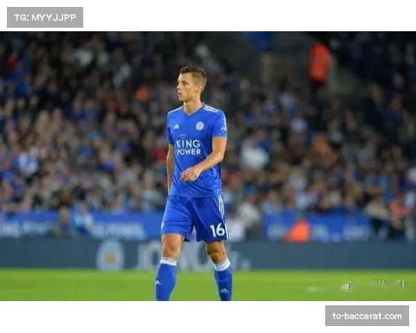 新鹏城本科维奇压哨加盟 防线默契度不足成赛季隐患 新鹏城本科维奇压哨加盟 防线默契度不足成赛季隐患